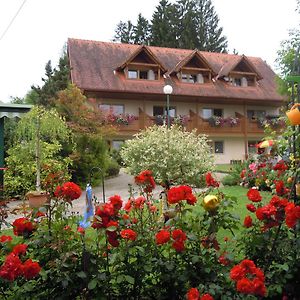 فندق Gaestehaus Zur Schoenen Aussicht Wies Exterior photo