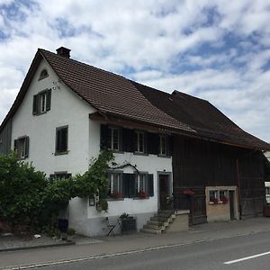 Lufingen Airport Zuerich Elwiras B & B Exterior photo