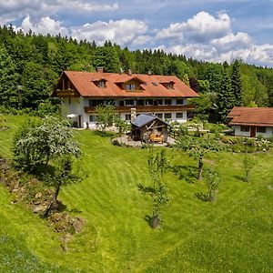 شبيغيلاو Haus Jagerfleck, Ihre Ferienwohnungen Am Nationalpark Bayerischer Wald Exterior photo