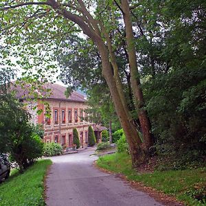 فندق Chateau Lou Cante Perdrix La Vernarede Exterior photo