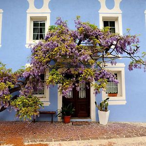 فندق The Blue House تولمين Exterior photo