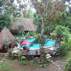 Hotel Hacienda Tijax Jungle Logde نهر دولسي Exterior photo