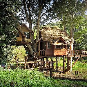 Rabeang Pasak Treehouse Resort شيانغ ماي Exterior photo