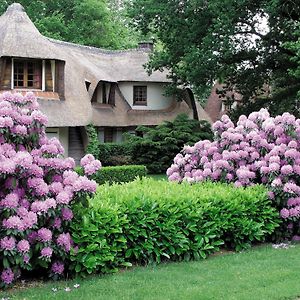 فندق Auberge Des Templiers Boismorand Exterior photo