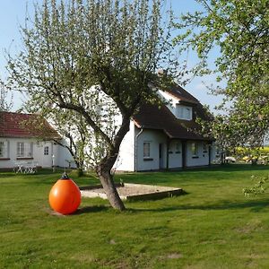 فندق Pension Schwalbenhof Klausdorf  Exterior photo