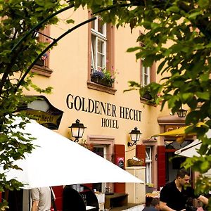Hotel Goldener Hecht هايدلبرغ Exterior photo