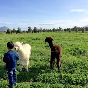 Taras Richmond Farmstay Campania Exterior photo