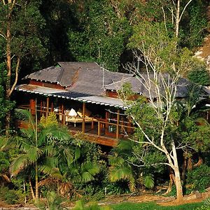 فيلا Wollumbin Palms Rainforest Retreat Uki Exterior photo