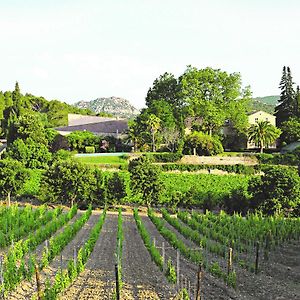 فندق Chateau Haut Gleon Villeseque-des-Corbieres Exterior photo