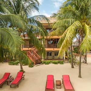 فندق هوبكنزفي  Buttonwood Belize Exterior photo