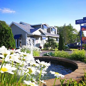 شيربروك Motel Des Cedres Exterior photo