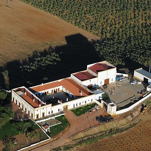 Hotel Bodega El Moral Ribera del Fresno Exterior photo