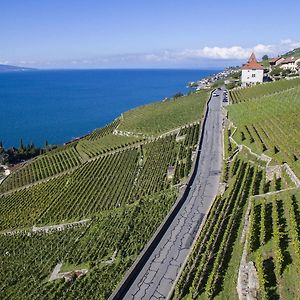 فندق Domaine Du Burignon Saint-Saphorin Exterior photo