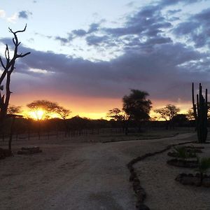 Roidina Safari Lodge أومارورو Exterior photo