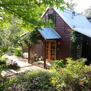 منزل الضيف بالينغوب  في Redgum Hill Country Retreat Exterior photo