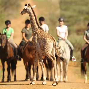 فيلا Pakamisa Private Game Reserve بونغولا Exterior photo