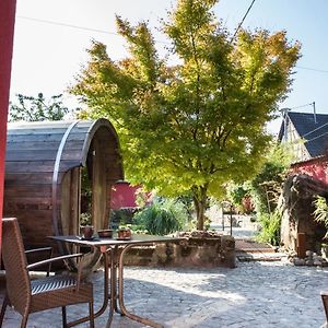 فندق Auberge Au Boeuf Sessenheim Exterior photo