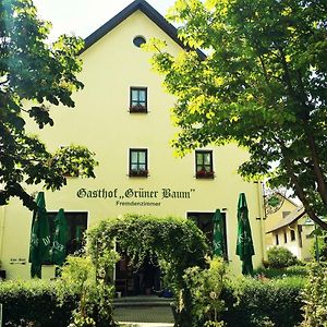 Hotel-Landgasthof Gruener Baum - Dittigheim تاوبربيشوفسهايم Exterior photo