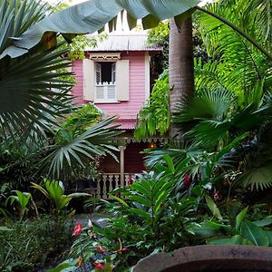 فندق كاسترايْزْفي  Pink Plantation House Exterior photo