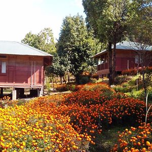 Kāskī Kalsee Ecolodge Exterior photo