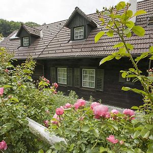 Pressbaum Das Altsteirische Landhaus - La Maison De Pronegg - Feriendomizil Im Biospharenpark Wienerwald Room photo