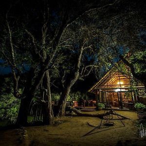 فيلا Rio Dos Elefantes River Camp هويدزبروت Exterior photo