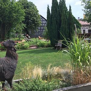 فندق Auberge Saint Laurent Sierentz Exterior photo