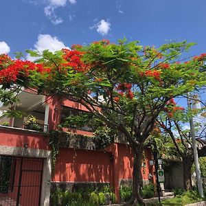 Hotel Arbol De Fuego سان سلفادور Exterior photo