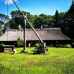 فندق Kotka Farm Saarekula Exterior photo