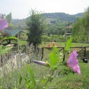 فيلا Le Spighe Agriturismo تشيزينا Exterior photo