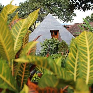 فيلكابامبا Hosteria Paraiso Exterior photo