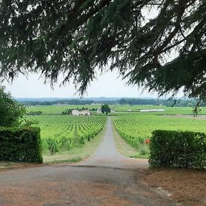 مبيت وإفطار A L'Ombre De La Treille -Proche Saint-Emilion Exterior photo