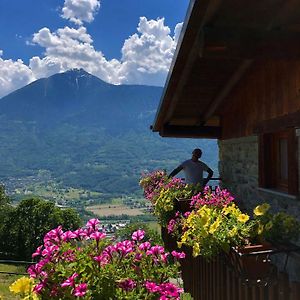 مبيت وإفطار Castione Andevenno Agriturismo Cavria Exterior photo