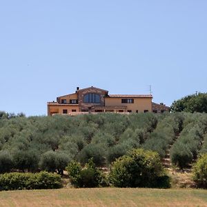 مارشانو B&B La Casa Fra Gli Olivi Exterior photo