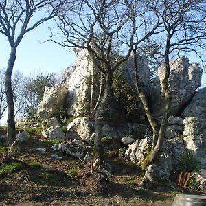 فندق Le Rocher Du Samoyede Dirinon Exterior photo