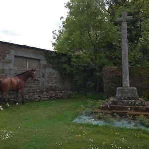 مبيت وإفطار Saint-Sauveur-de-Carrouges Haras De La Croix D'Argent Exterior photo