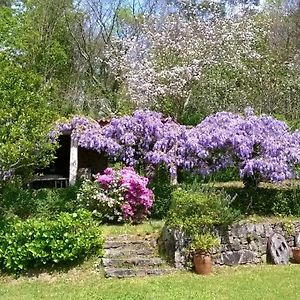 فيلا O Lughar Darriba Fogar Natural Gallardo Exterior photo