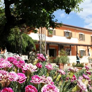 Piedimonte San Germano B&B Casale Shanti Exterior photo