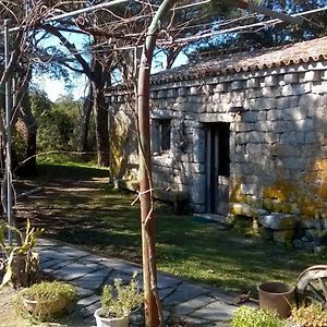 مبيت وإفطار تيمبيو باوسانيا Agriturismo La Vigna Exterior photo