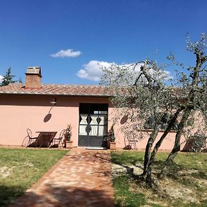 فيلا Agriturismo Il Loghino بالايا Exterior photo