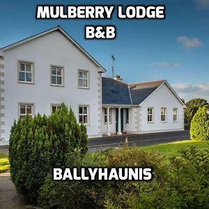 باليهاونيس Mulberry Lodge Guest House Exterior photo