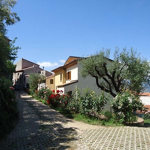 Dianum Villa Degli Ulivi بادولا Exterior photo