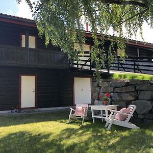 شقة Drolsum Gard Vikersund Exterior photo