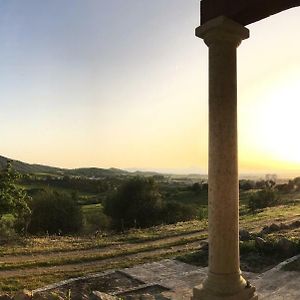 فيلا اوزيريفي Agriturismo Sa Domo De S'Olia Exterior photo