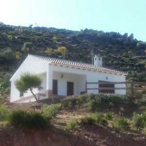 منزل الضيف أرذاليس  في La Solana De Turon. El Pino Exterior photo