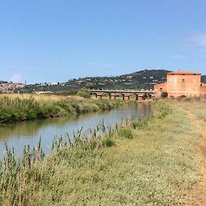 فيلا Direttamente Sulla Spiaggia كاستيغليون ديلا بيسكايا Exterior photo