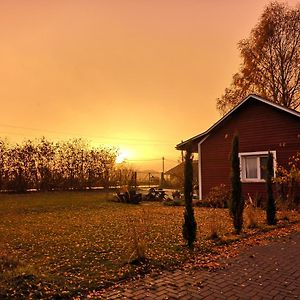 فيلا Gaestehaeuschen „Kleine Auszeit“ جرايفسفالد Exterior photo