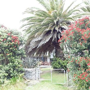 فيلا وايكانايفي Twin Palms Exterior photo