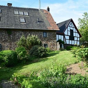 شقة Antweiler  في Landhaus Am Aremberg / Eifel Exterior photo