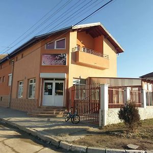 Стаи За Гости Елени Shiroki Dol Exterior photo